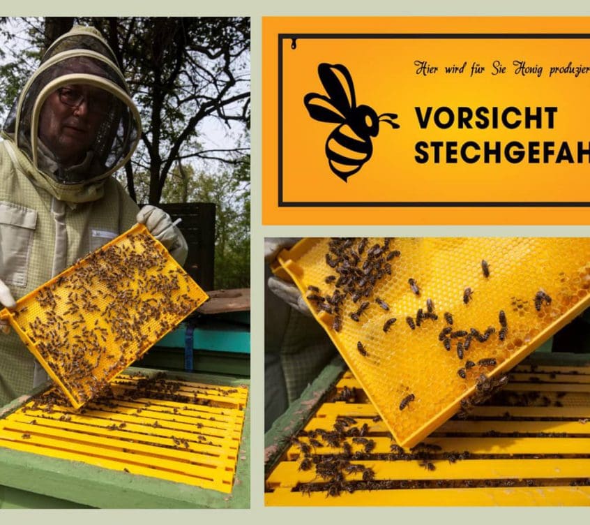 Bienen Collage