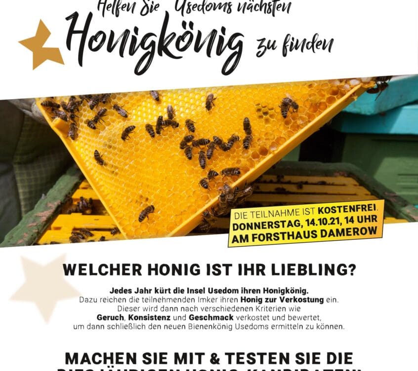 plakat_a3_20211011_bienenkönig_4