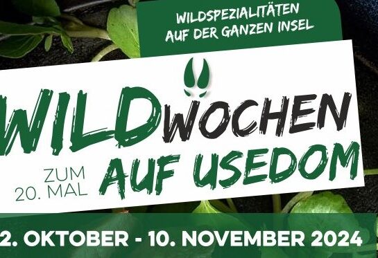 Wildwochen 2024 (2) – Kopie